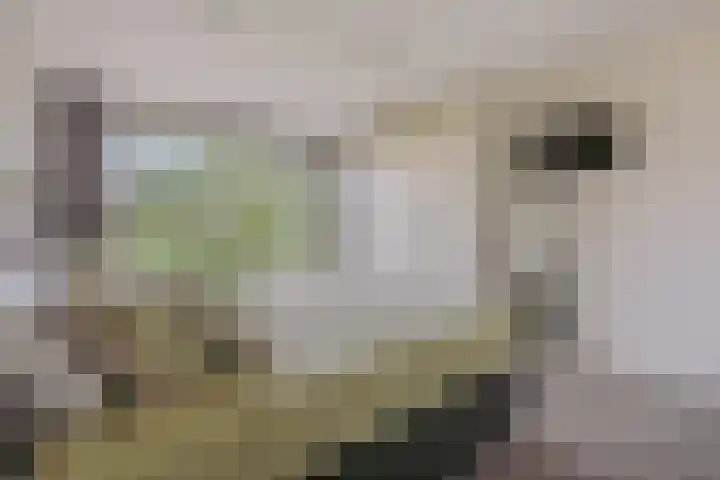 Bundlaan 212 Amsterdam thumbnail 13