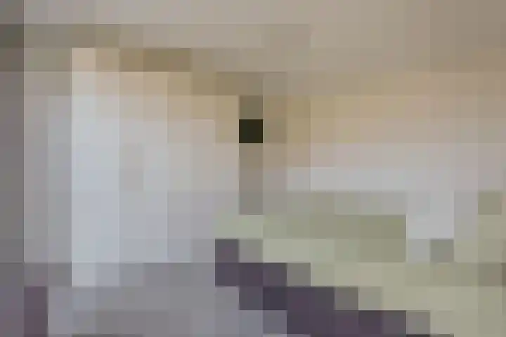 Bundlaan 212 Amsterdam thumbnail 15
