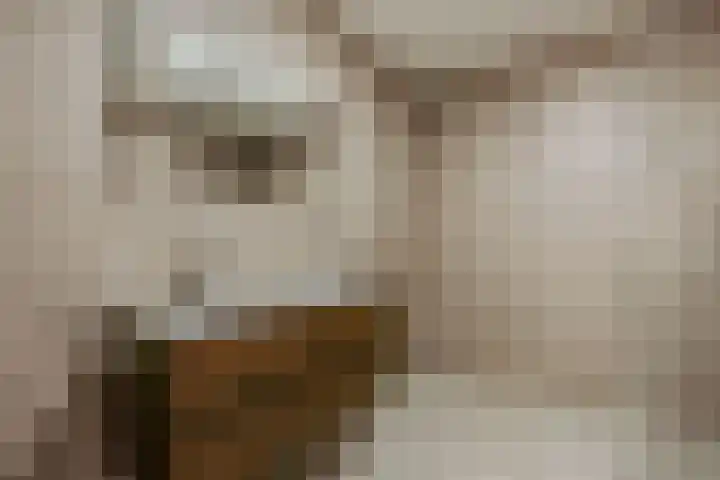 Bundlaan 212 Amsterdam thumbnail 17