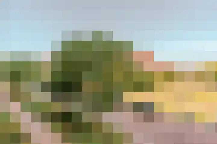 Bundlaan 212 Amsterdam thumbnail 21