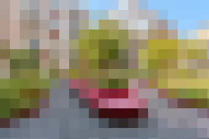 Bundlaan 212 Amsterdam thumbnail 25
