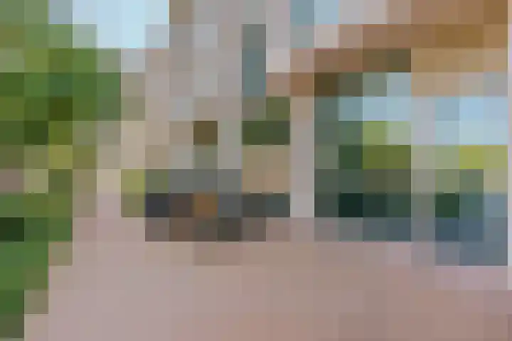 Bundlaan 212 Amsterdam thumbnail 26