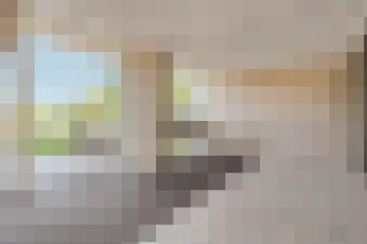 Bundlaan 212 Amsterdam thumbnail 28