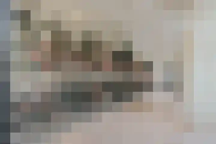 Bundlaan 212 Amsterdam thumbnail 30