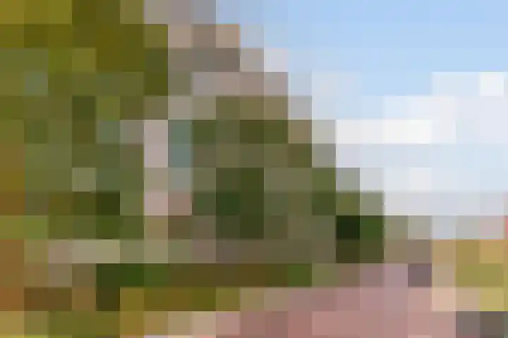 Bundlaan 212 Amsterdam thumbnail 4