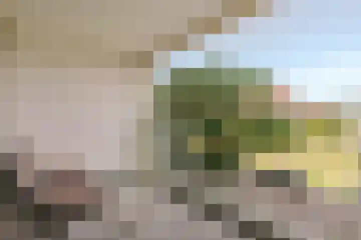 Bundlaan 212 Amsterdam thumbnail 6