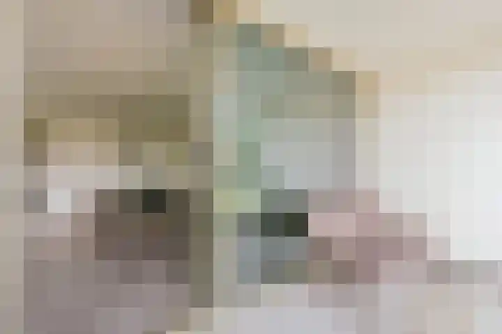 Bundlaan 212 Amsterdam thumbnail 7