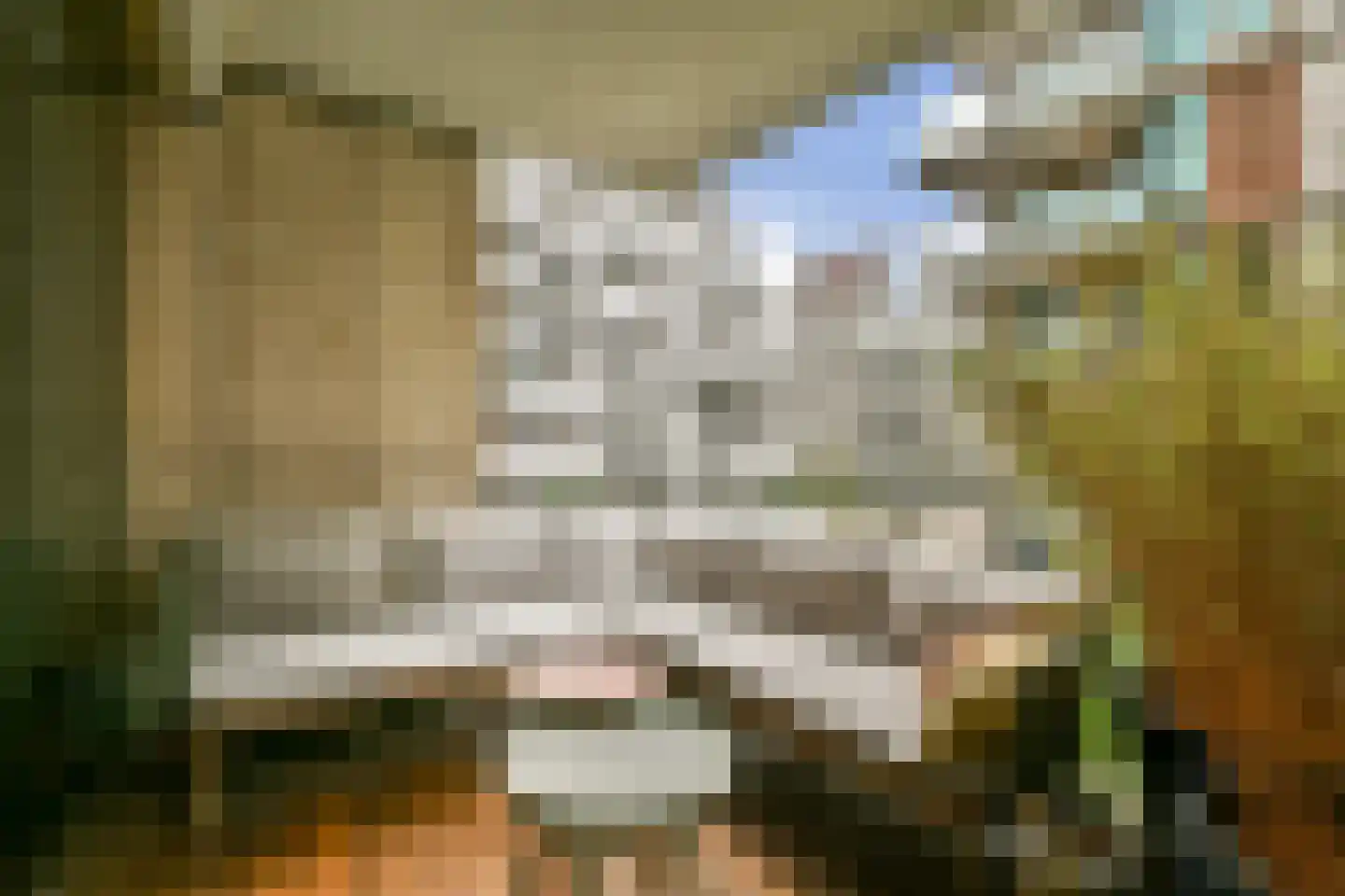 Bundlaan 218 Amsterdam thumbnail 16