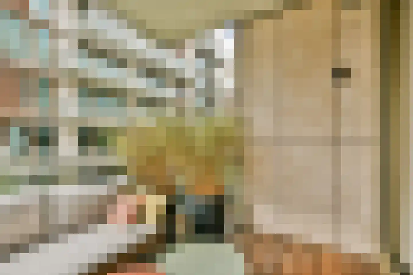 Bundlaan 218 Amsterdam thumbnail 17