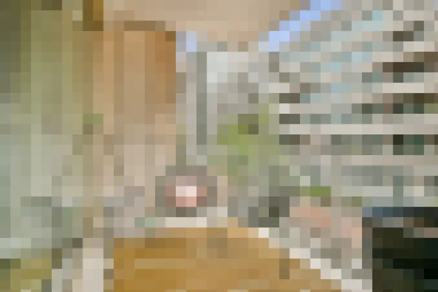Bundlaan 218 Amsterdam thumbnail 18