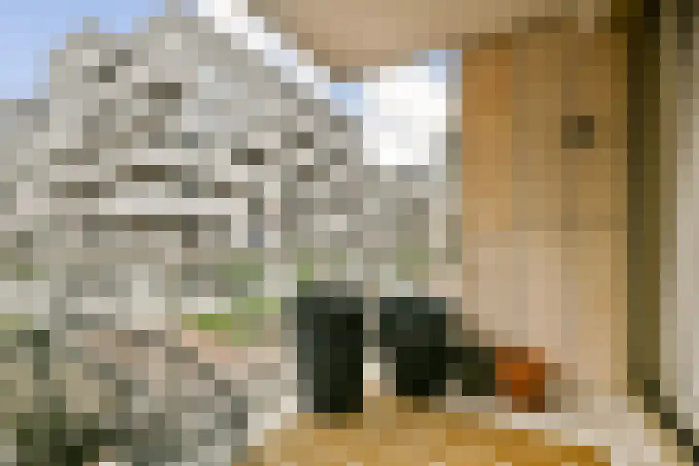 Bundlaan 218 Amsterdam thumbnail 19