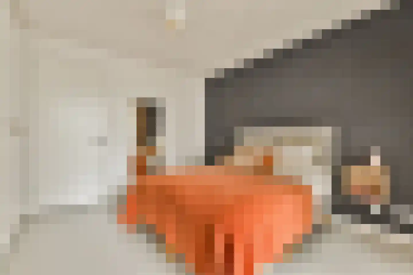 Bundlaan 218 Amsterdam thumbnail 21