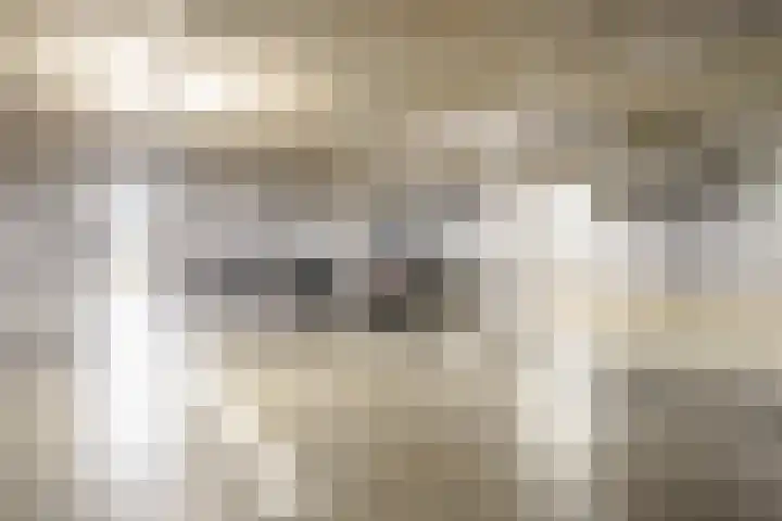 Bundlaan 220 Amsterdam thumbnail 30