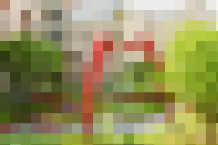 Bundlaan 220 Amsterdam thumbnail 31