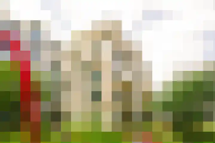 Bundlaan 220 Amsterdam thumbnail 32