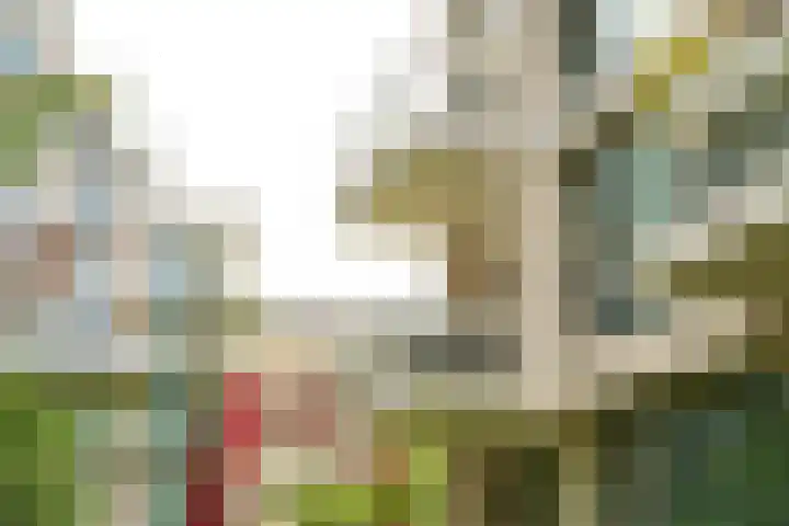 Bundlaan 220 Amsterdam thumbnail 33