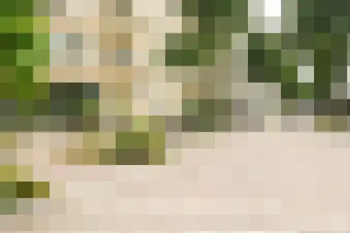 Bundlaan 220 Amsterdam thumbnail 34