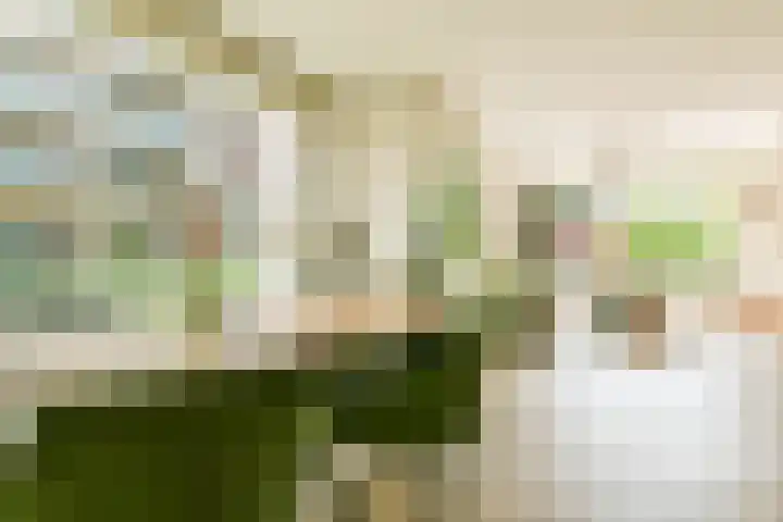 Bundlaan 220 Amsterdam thumbnail 7