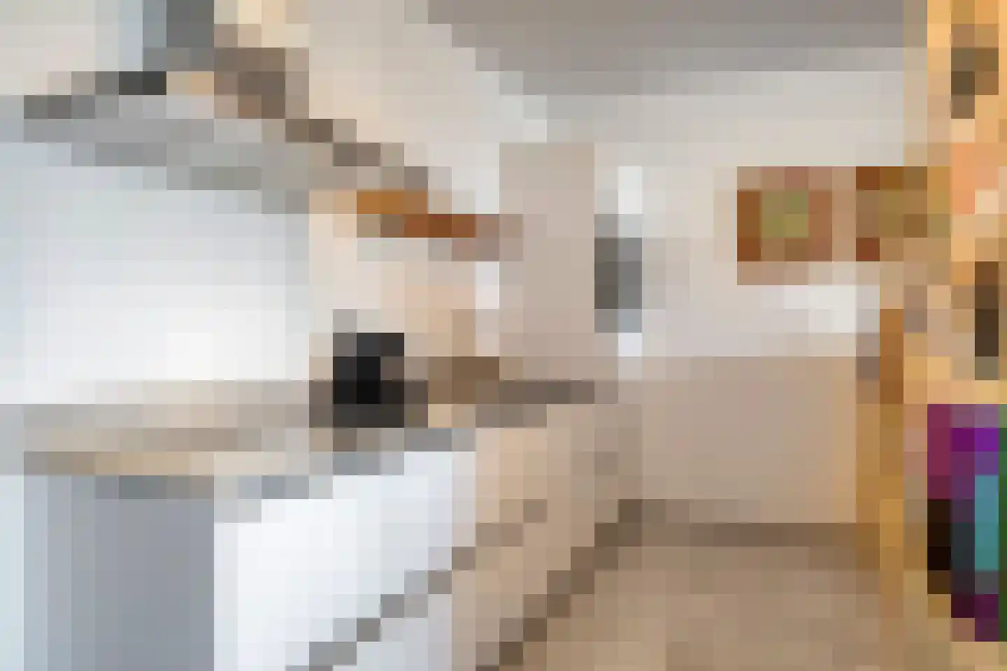 Bundlaan 224 Amsterdam thumbnail 12
