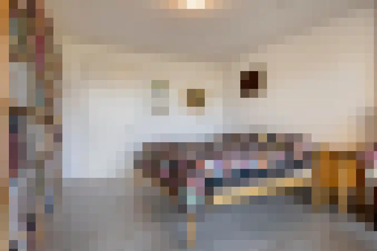 Bundlaan 224 Amsterdam thumbnail 25