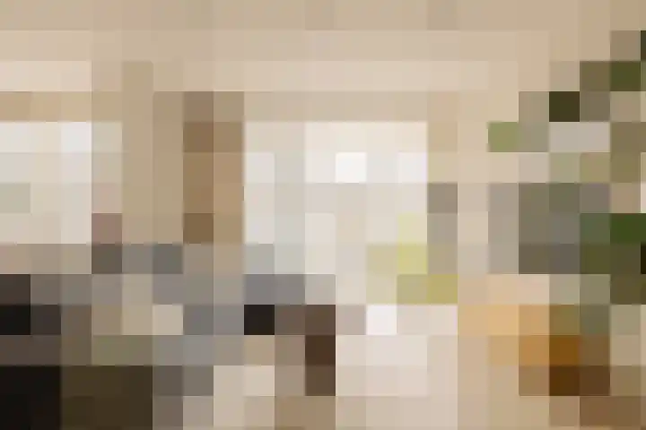 Bundlaan 228 Amsterdam thumbnail 10