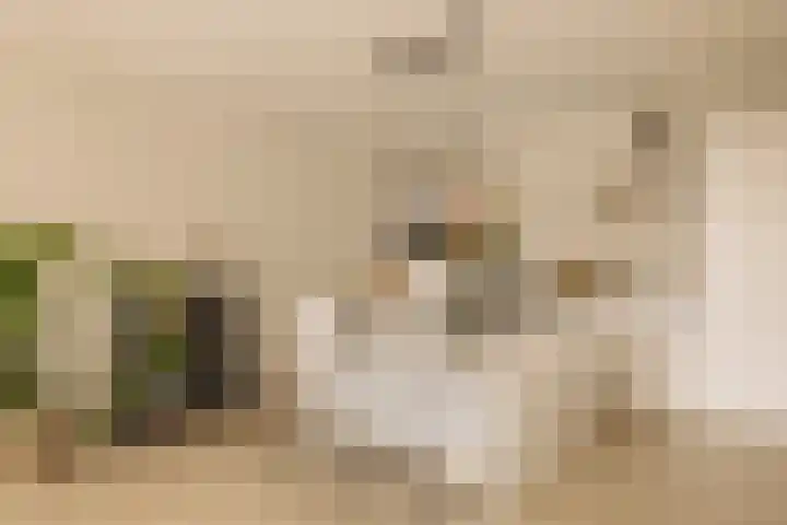 Bundlaan 228 Amsterdam thumbnail 13