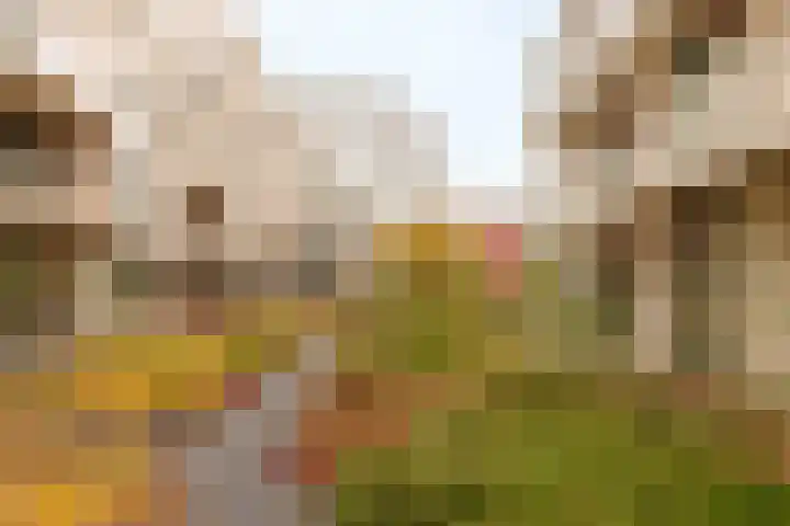 Bundlaan 228 Amsterdam thumbnail 26