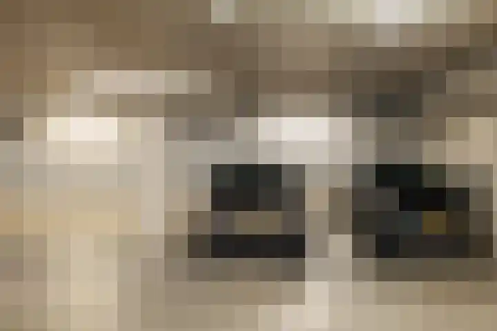 Bundlaan 228 Amsterdam thumbnail 27