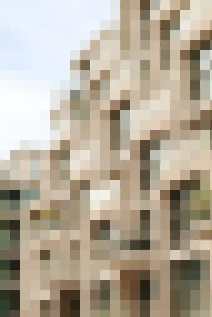 Bundlaan 228 Amsterdam thumbnail 28