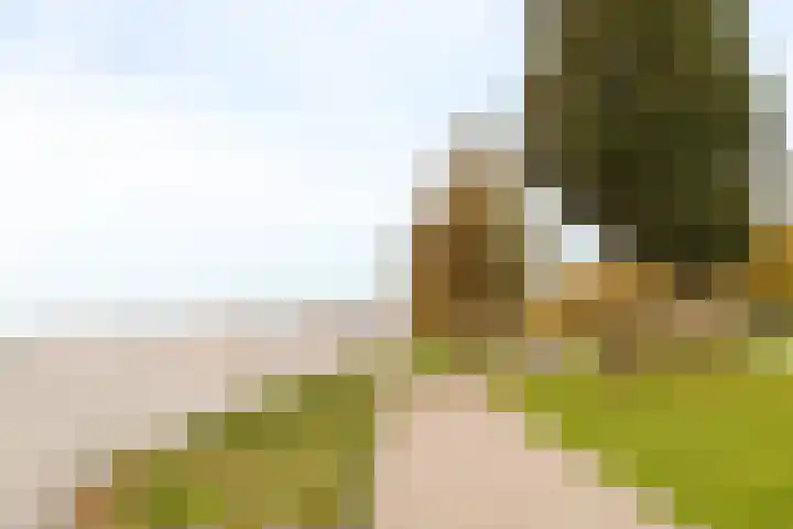 Bundlaan 228 Amsterdam thumbnail 30
