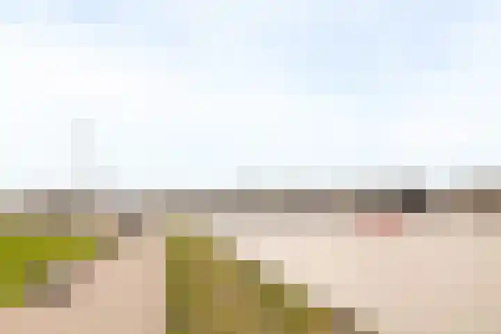 Bundlaan 228 Amsterdam thumbnail 31