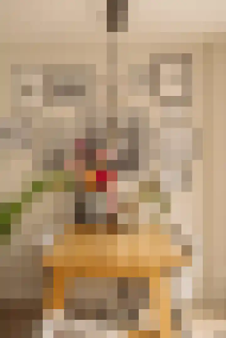 Bundlaan 228 Amsterdam thumbnail 8