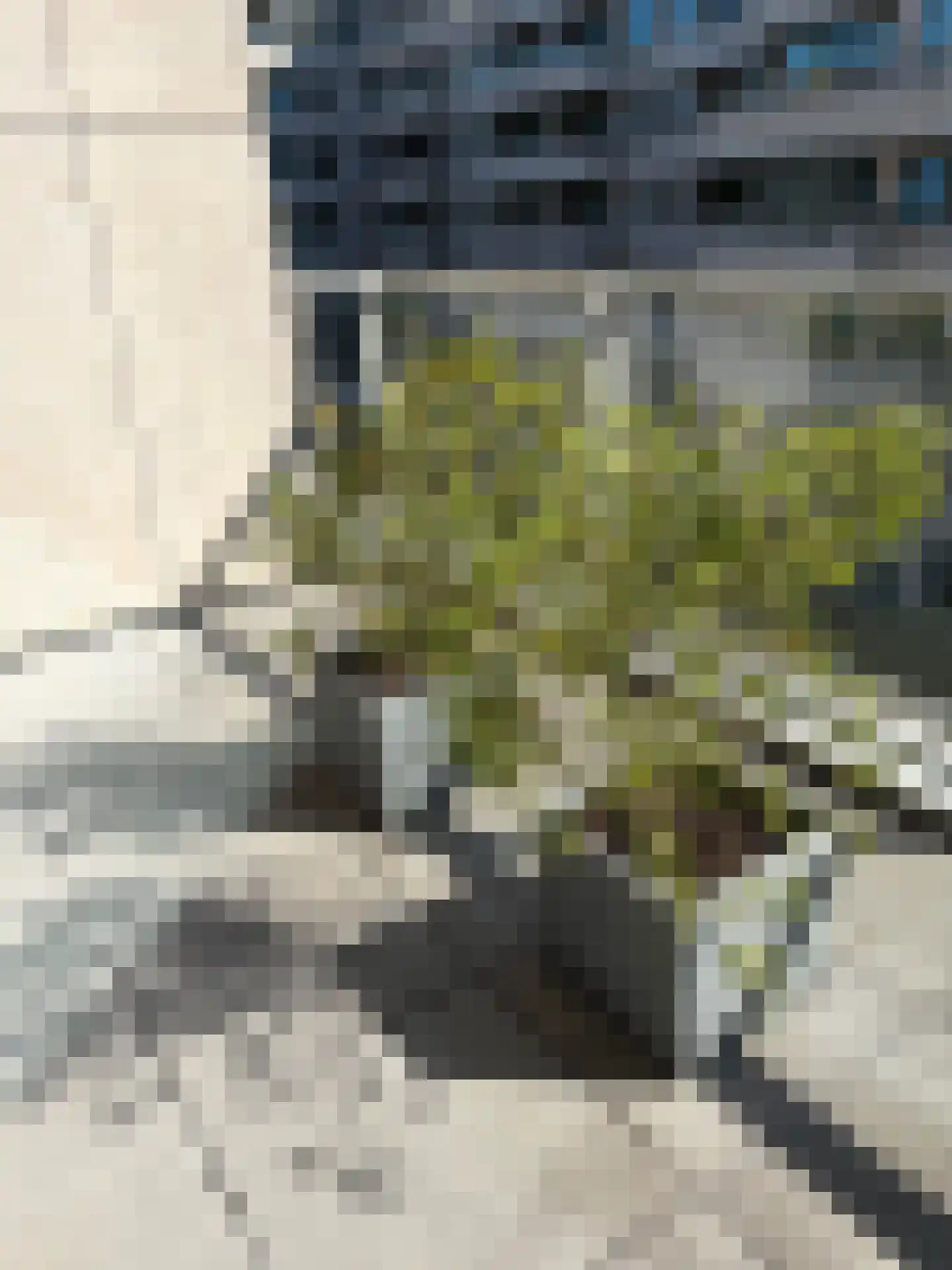 Bundlaan 240 Amsterdam thumbnail 20