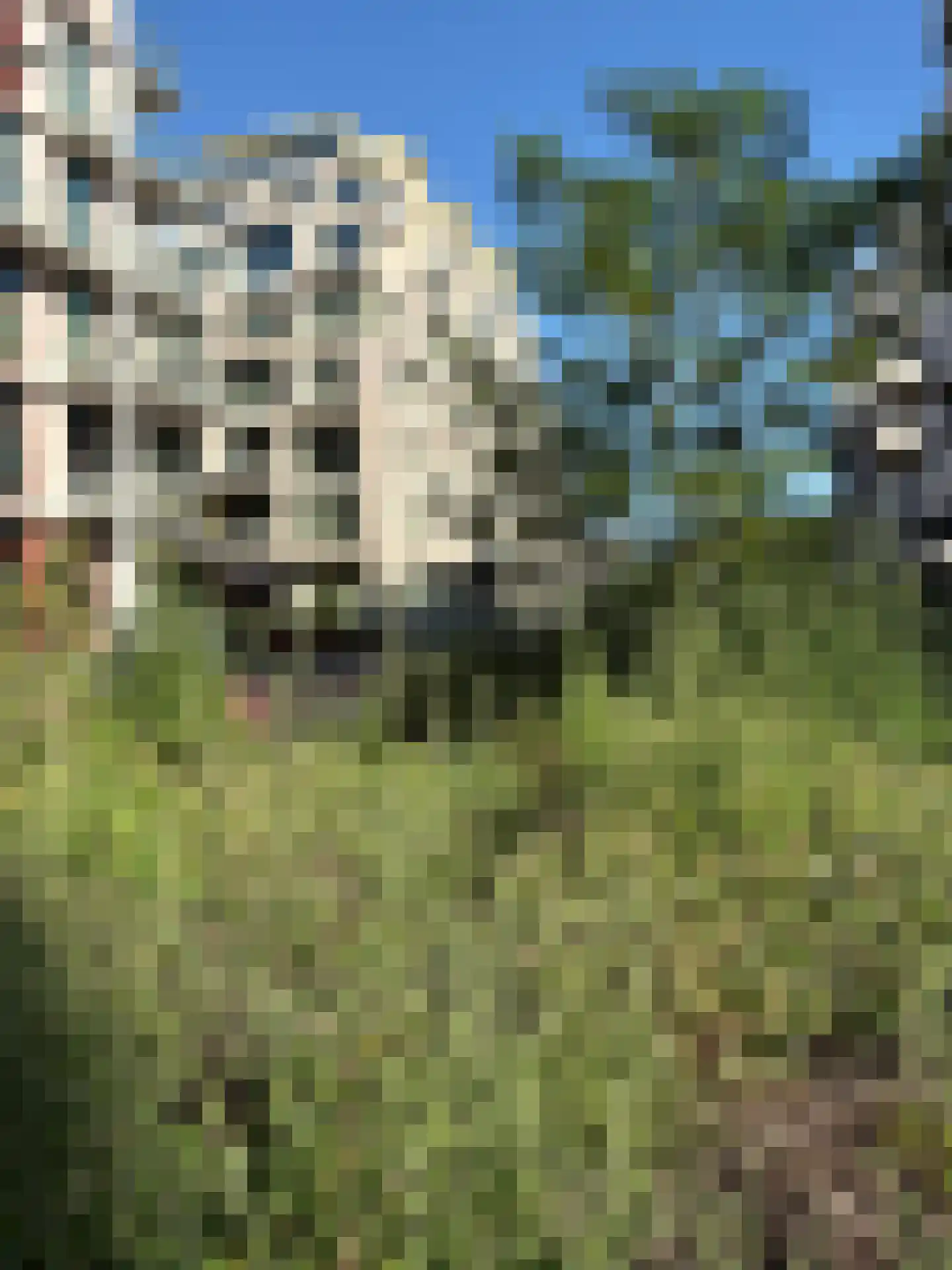 Bundlaan 240 Amsterdam thumbnail 34