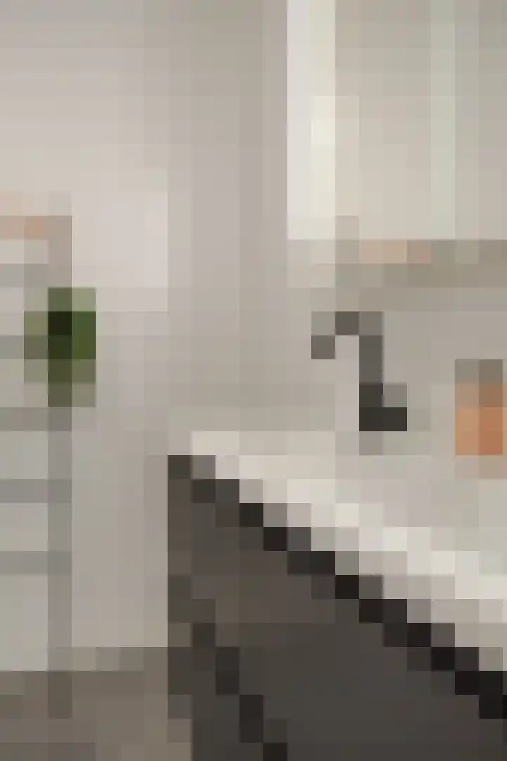 Bundlaan 244 Amsterdam thumbnail 17