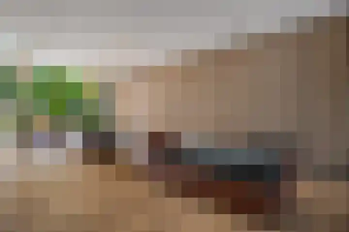 Bundlaan 244 Amsterdam thumbnail 20