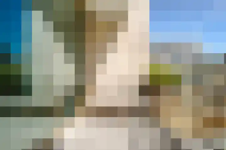 Bundlaan 244 Amsterdam thumbnail 4