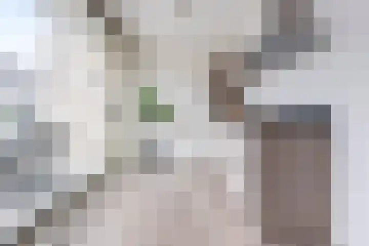 Bundlaan 252 Amsterdam thumbnail 12