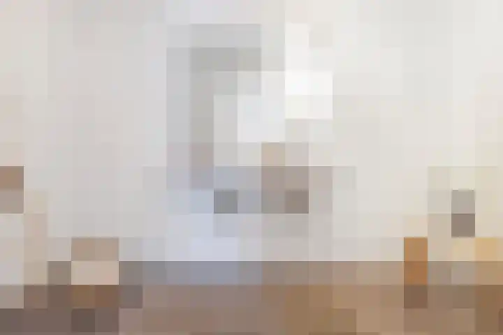 Bundlaan 252 Amsterdam thumbnail 20