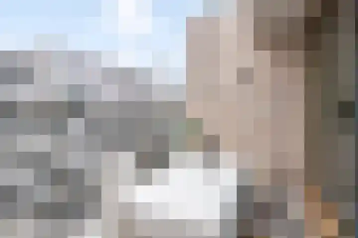 Bundlaan 252 Amsterdam thumbnail 25