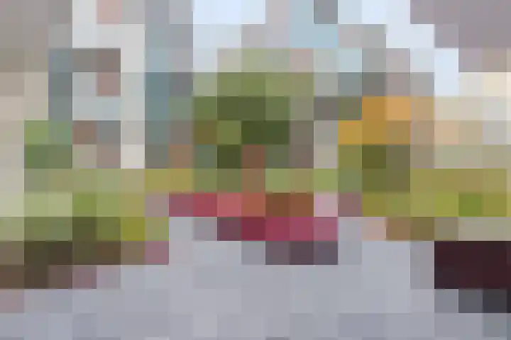 Bundlaan 252 Amsterdam thumbnail 32