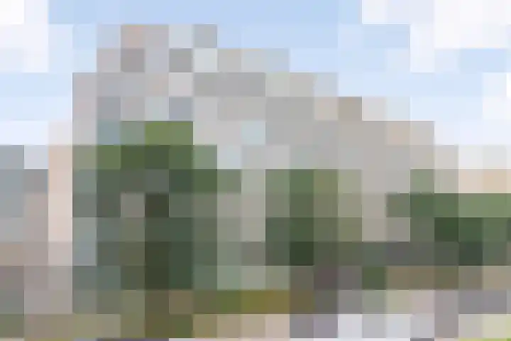 Bundlaan 252 Amsterdam thumbnail 35