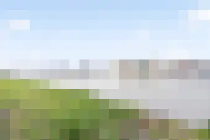 Bundlaan 252 Amsterdam thumbnail 39