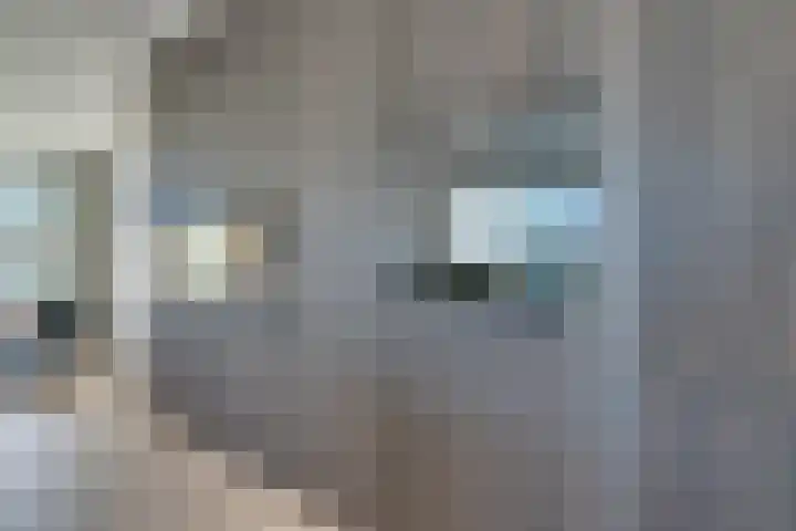 Bundlaan 262 Amsterdam thumbnail 11