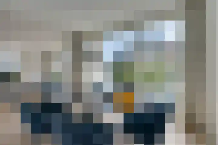 Bundlaan 262 Amsterdam thumbnail 13