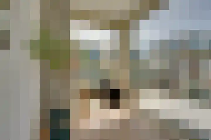 Bundlaan 262 Amsterdam thumbnail 19
