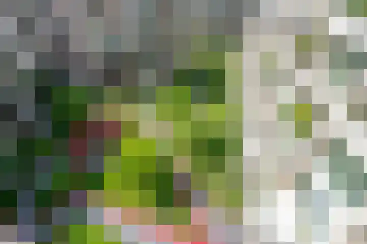 Bundlaan 262 Amsterdam thumbnail 23
