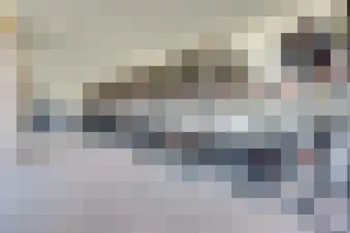 Bundlaan 262 Amsterdam thumbnail 30