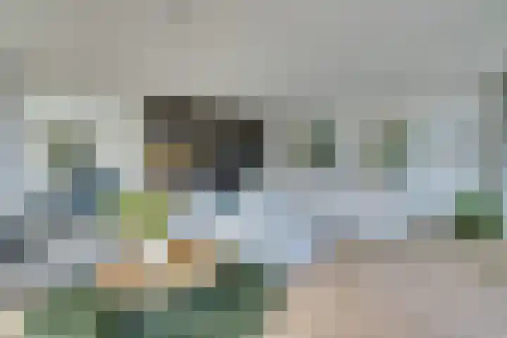 Bundlaan 262 Amsterdam thumbnail 4