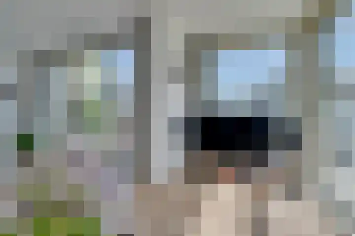 Bundlaan 262 Amsterdam thumbnail 6